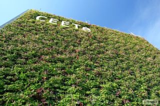 A pak že na severní straně nic neroste 💚 Na této budově je zelená fasáda Graseko orientovaná na SV. Slunce na ni svítí jen...