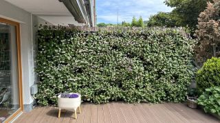 Stylově vyřešené soukromí mezi sousedy pomocí živé stěny Graseko💚 Řešíte u svého domu akustiku nebo potřebujete více...