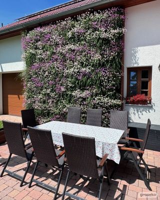 Před rokem to byla zeď, u které se v létě nedalo kvůli horku sedět a ani tam nic nerostlo. Problém s přehříváním fasády...