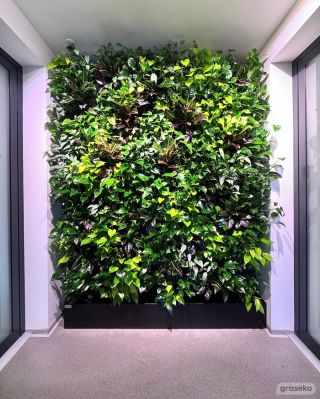 První dojem je důležitý.💚 Vědí to také v kadeřnictví BB Hair Ostrava, kde již pár let zkrášluje hydroponická vertikální...